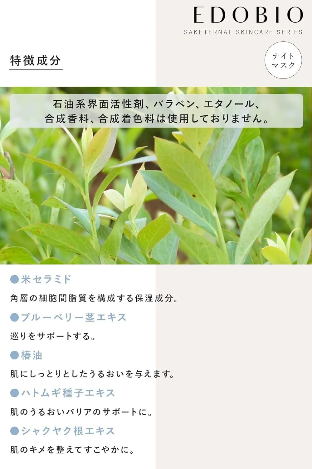 グローウィングナイトジェルマスク｜サケターナル シリーズ — EDOBIO